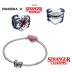 PULSERA PANDORA MOMENTS + SET DE 6 CHARMS