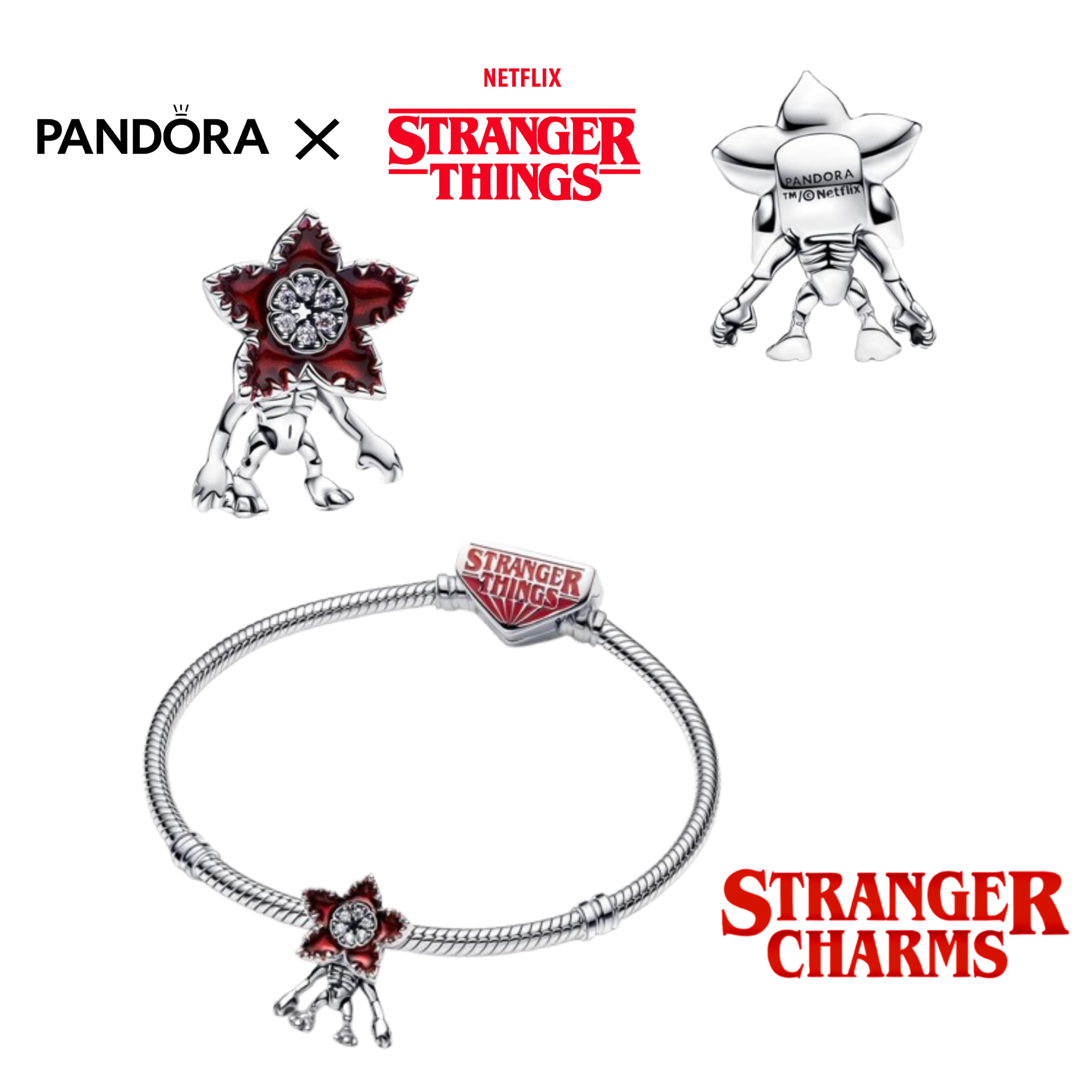 PULSERA PANDORA MOMENTS + SET DE 6 CHARMS